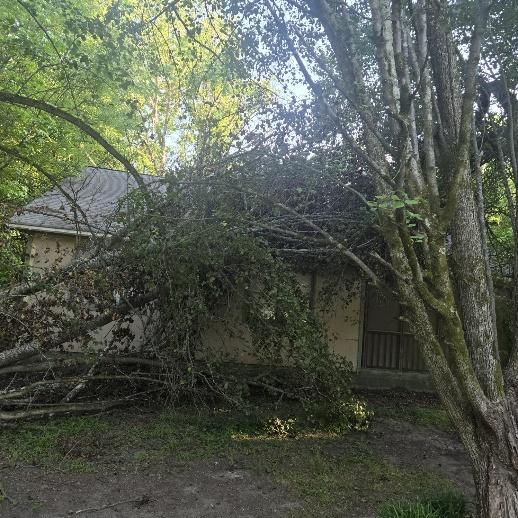 Storm Damage restoration project