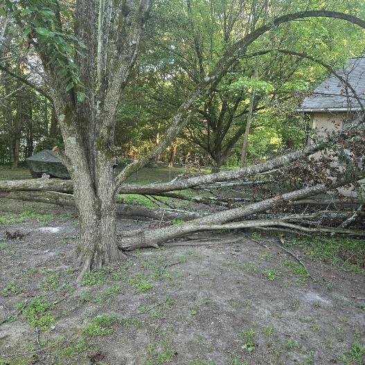 Storm Damage restoration project