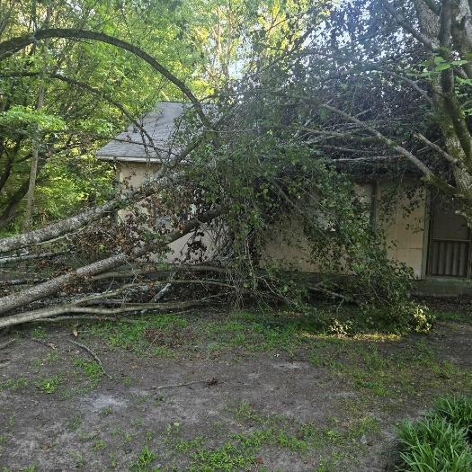 Storm damage cleanup