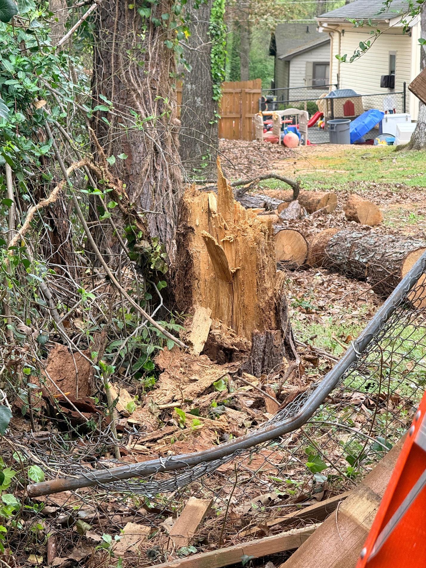 Storm Damage restoration project