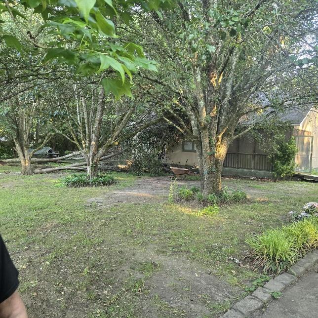 Storm Damage restoration project