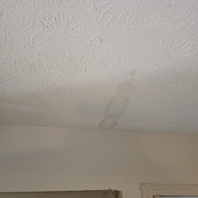 Water Damage Mitigation